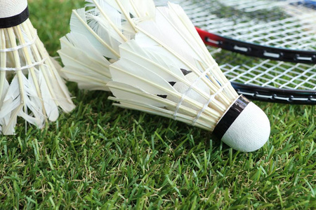 有一群充满 有一群充满